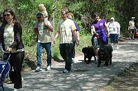 NAMIWalk07 (356) 